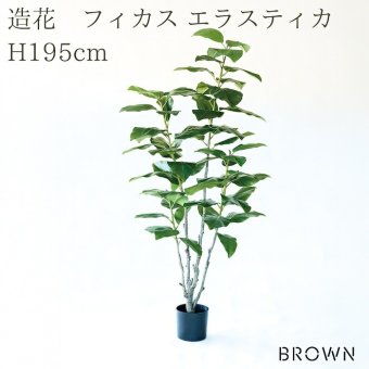 観葉植物 造花 フィカス エラスティカ BROWN 全高約195cm 大型 株立ち フェイクグリーン 高級 本物そっくり リアル おしゃれ インテリア 人工観葉植物 アーティフィシャルグリーン オフィス 店舗 ホテル 開店祝い 室内 リビング 玄関 風水 ゴムの木 インドゴムノキ