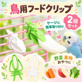 鳥用フードクリップ 2個セット インコ オウム 小鳥 餌ホルダー 野菜 果物 おやつ 固定 ケージ取り付け プラスチック製 食べ物保持 ペットバード用品 グリーン ホワイト