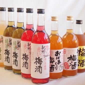 梅酒10本セット(おばあちゃんの梅酒 芋焼酎仕込五代梅酒(鹿児島) 赤しそ赤い梅酒(和歌山) 蜂蜜梅酒(和歌山) 緑茶梅酒(和歌山)) 720ml×10本