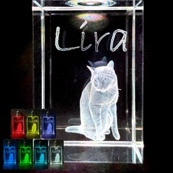 ３D彫刻 うちの子光るクリスタルキーホルダー　　犬 猫 ペット 立体 名入れ メモリアル オーダー ガラス ギフト プレゼント キレイ シンプル 透明 クリア 女性 男性