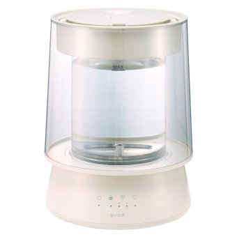 QUADS ガラススチーム加湿器 グラス アイボリー ／加湿器 季節・空調家電 家電 結婚祝い プレゼント ギフト 結婚内祝い お返し おしゃれ 友達 メッセージ のし 職場 ハイセンス 人気 出産祝い 出産内祝い 送料無料 2026 送料無料 ギフト プレゼント プチギフト 内祝い 快気祝い 出産祝い 結婚祝い 引出物 新築祝い お返し
