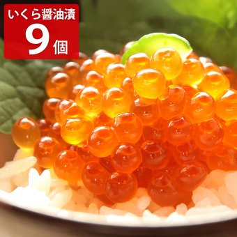 北海道産 いくら醤油漬け 9パック いくら 醤油漬け 冷凍 イクラ ご飯のお供