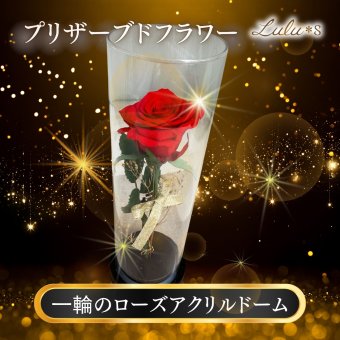プリザーブドフラワー バラ 薔薇 ローズ 一輪 アクリルドーム ガラスドーム風 プレゼント ギフト 誕生日 記念日 プロポーズ 告白 結婚祝い 還暦 母の日 敬老の日 ホワイトデー クリスマス 彼女 妻 女性 サプライズ 贈り物 退職祝い お祝い 花 赤 かすみ草 アーティフィシャルフラワー 専用ボックス ケース付き インテリア 卓上 枯れない花 ブリザードフラワー ウエディング おしゃれ