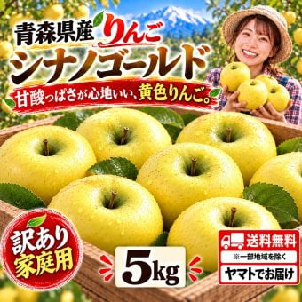 青森県産　りんご　シナノゴールド　訳あり　5kg　送料無料！