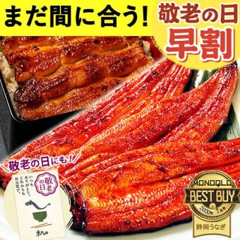 ＼早割！9/8の16時まで／ 敬老の日 早割 お中元 うなぎ 国産 【浜松 浜名湖 うなぎのたなか】 誕生日 プレゼント ギフト 鰻 うなぎのたなか 蒲焼き 誕生日プレゼント グルメギフト 送料無料  お祝い グルメ 人気 内祝い ご褒美 即日配送 90～110g 2本～6本 土用の丑 海鮮 食べ物 おつまみ 高級 簡易箱 化粧箱 風呂敷 1～6人前 40代 50代 60代 70代 80代