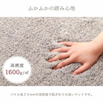 ラグ カーペット 玄関マット ふんわり ふかふか 肌ざわり 滑りにくい スタンドミラー前 シャギー シンプル ナチュラルカラー 45×75cm