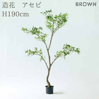 観葉植物 造花 アセビ BROWN 全高約190cm 大型 スリム フェイクグリーン 高級 本物そっくり リアル おしゃれ 和風 和モダン インテリア 人工観葉植物 アーティフィシャルグリーン オフィス 店舗 ホテル 旅館 開店祝い 室内 リビング 玄関 風水 庭木 あせび