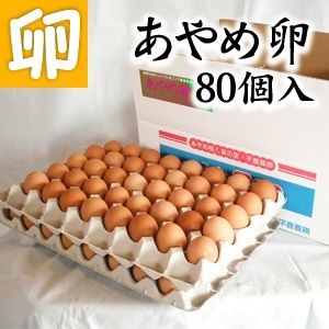 【高級玉子】あやめ卵 80個　たまごかけごはん専用