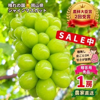 岡山県産 ぶどう シャインマスカット 300ℊ1房 贈答用秀品 国産 フルーツ