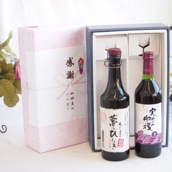 感謝の贈り物ボックス プレミアムな長期熟成麦焼酎と国産ワインセット(実りの収穫 赤ワイン やや甘口(山梨県)720ml夢のひととき長期貯蔵5年熟成麦焼酎(大分県)720ml