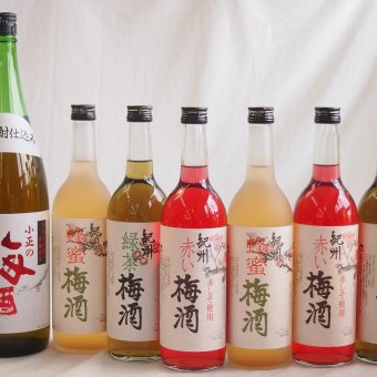 カラフル梅酒7本セット(青梅使用小正の梅酒(鹿児島) 赤しそ赤い梅酒(和歌山) 蜂蜜梅酒(和歌山) 緑茶梅酒(和歌山)) 1800ml×1本 720ml×6本