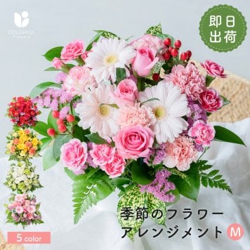 フラワーギフト カラフルガーデンフラワーアレンジメント Mサイズ 生花 花市場から直送 父の日  お祝い 誕生日 記念日