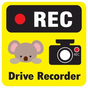 ドラレコ ステッカー シール REC Drive Recorder こあら イエロー 13x13cm 正方形 おしゃれ かわいい ドラレコシール 安全対策 危険運転 煽り運転 前後 アニマル 動物 イラスト付 ドライブレコーダー 録画 カーサイン