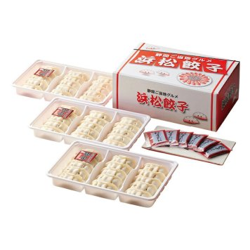送料無料 お歳暮 浜松餃子  ※11月9日から12月24日 北海道・沖縄・離島は配達不可 全国送料無料御中元ギフト早割お中元2026御中元御見舞お見舞いお取り寄せグルメスイーツ