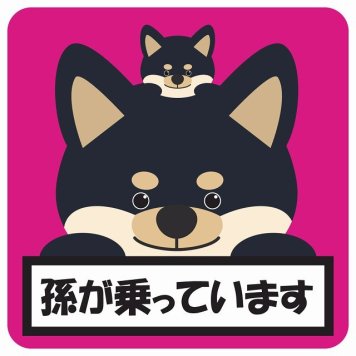 孫が乗っています 祖父母と孫 黒柴 ピンク サインステッカー シール 車 ステッカー 正方形 13x13cm 防水 屋内 屋外 セーフティサイン 安全対策 車用 安全運転 煽り運転対策 安全対策 かわいい イラスト カーサイン