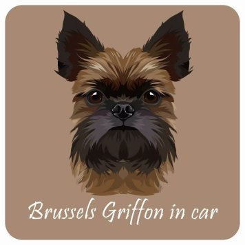 ドッグ カーステッカー イラスト付 Dog in Car ブリュッセル・グリフォン Bタイプ セーフティサイン 犬種別 正方形 13x13cm シール リア あおり運転対策 Dog Sticker 屋外 屋内 防水 かわいい おしゃれ 安全対策 カーサイン