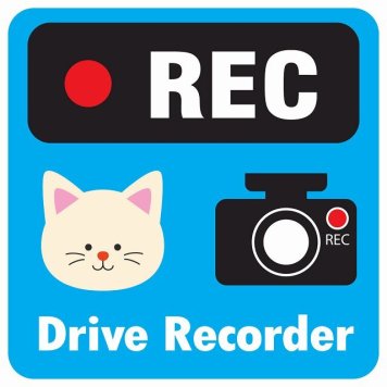 ドラレコ ステッカー シール REC Drive Recorder ねこ ライトブルー 13x13cm 正方形 おしゃれ かわいい ドラレコシール 安全対策 危険運転 煽り運転 前後 アニマル 動物 イラスト付 ドライブレコーダー 録画 カーサイン