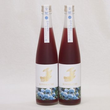 2本セット(金鯱焼酎ブレンド 知多半島のブルーベリー酒(愛知県)) 500ml×2本