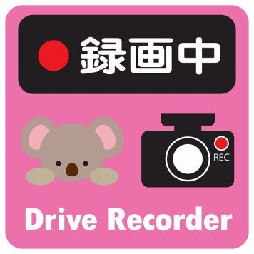 ドラレコ ステッカー シール 録画中 Drive Recorder こあら ピンク 13x13cm 正方形 おしゃれ かわいい ドラレコシール 安全対策 危険運転 煽り運転 前後 アニマル 動物 イラスト付 ドライブレコーダー REC  カーサイン