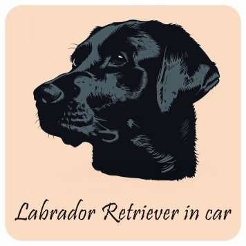 ドッグ カーステッカー イラスト付 Dog in Car ラブラドールレトリバー Aタイプ セーフティサイン 犬種別 正方形 13x13cm シール リア あおり運転対策 Dog Sticker 屋外 屋内 防水 かわいい おしゃれ 安全対策 カーサイン
