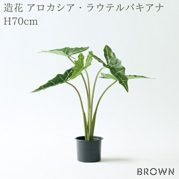 観葉植物 造花 アロカシア・ラウテルバキアナ BROWN 全高約70cm フェイクグリーン 高級 本物そっくり リアル おしゃれ 卓上 インテリア 人工観葉植物 アーティフィシャルグリーン モダン オフィス 店舗 開店祝い 室内 リビング 玄関 寝室 風水 クワズイモ