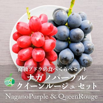 長野県産 ナガノパープル クイーンルージュ 各2房 【4房】 ｜ 1房約450-500g ｜ ぶどう 国産フルーツ 贈答用 ギフト プレゼント