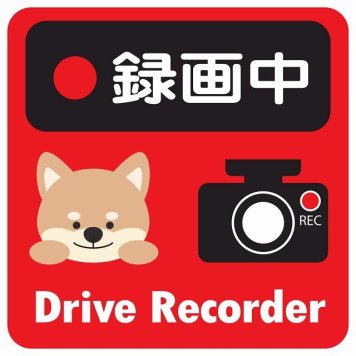 ドラレコ ステッカー シール 録画中 Drive Recorder いぬ レッド 13x13cm 正方形 おしゃれ かわいい ドラレコシール 安全対策 危険運転 煽り運転 前後 アニマル 動物 イラスト付 ドライブレコーダー REC  カーサイン