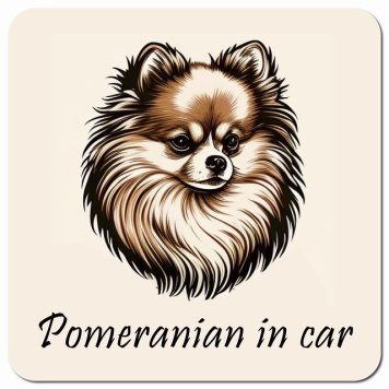 イラスト付 Dog in Car ポメラニアン Aタイプ カーサイン 車 マグネットステッカー 犬 マグネット 強力 13x13cm 正方形 おしゃれ かわいい ドラレコステッカー 安全対策 危険運転 煽り運転 アニマル 動物 犬種別 屋外 防水 屋内