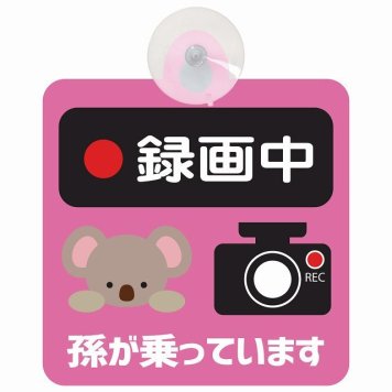 孫が乗っています 録画中 こあら ピンク セーフティサイン 吸盤タイプ 収れん火災防止タイプ 安全運転 車内用 煽り運転対策 安全対策 カーサイン イラスト かわいい
