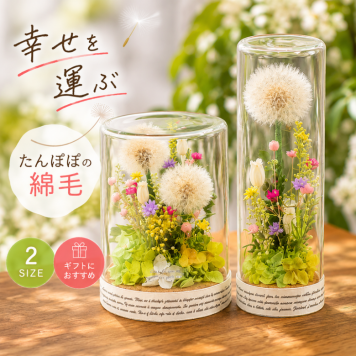 幸せを運ぶ たんぽぽの綿毛 ボトルフラワー ／プリザーブドフラワー タンポポ ドライフラワー ナチュラル インテリア おしゃれ 植物標本 花ギフト プレゼント