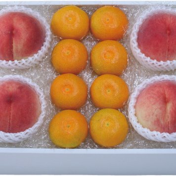 夏の贈り物お中元 山梨の桃とハウスみかん詰合せ 山梨県産桃（220g）×4、ハウスみかん500g