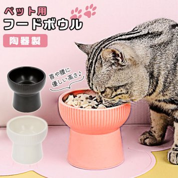 フードボウル 高さがある 通販 陶器 犬 猫 フードボール 食器 お皿 小型犬 餌皿 ごはん皿 ご飯入れ イヌ ネコ 犬用品 猫用品 餌入れ おしゃれ かわいい ペットグッズ ペット用品