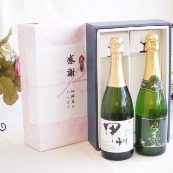 感謝の贈り物ボックス 穂坂甲州種ぶどう100%辛口スパークリングワインと国産ワインセット(おたる醸造 ナイアガラス白パークリングワインやや甘口(北海道)720mlシャンモリ柑橘香 穂坂甲州スパークリングワイン(山梨県)750ml