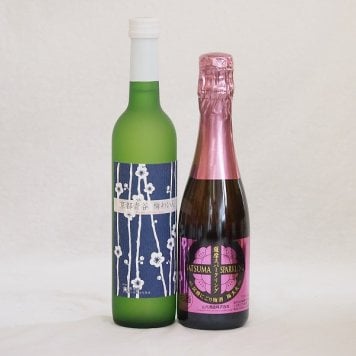 梅酒特集2本セット(薩摩スパークリングにごり梅酒梅太夫(鹿児島) 京都青谷梅わいん(京都)) 375ml×1本 500ml×1本