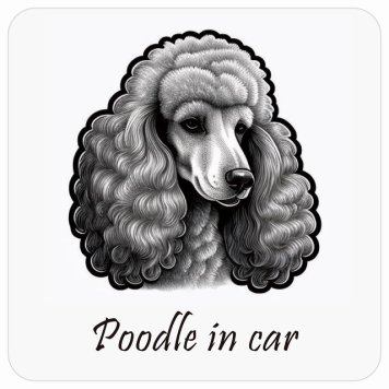 ドッグ カーステッカー イラスト付 Dog in Car プードル B タイプ セーフティサイン 犬種別 正方形 13x13cm シール リア あおり運転対策 Dog Sticker 屋外 屋内 防水 かわいい おしゃれ 安全対策 カーサイン