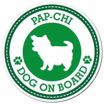 PAP-CHI パピチワ グリーン 肉球 カーサイン 車 マグネットステッカー 犬 マグネット 強力 直径13cm 丸型 おしゃれ かわいい ドラレコステッカー 安全対策 危険運転 煽り運転 アニマル 動物 犬種別 屋外 防水 屋内 肉球マーク