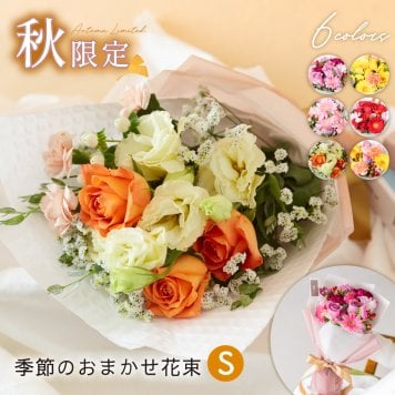 季節のおまかせ 花束Sサイズ ブーケ 韓国ラッピング 花束 生花 花市場から直送 ガーベラ バラ カーネーション  お祝い 誕生日 記念日