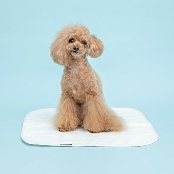 HappyDays 洗える消臭防水シート S 犬 猫 消臭 抗菌 防水 国産 トイレ おしっこ 洗濯 丸洗いOK