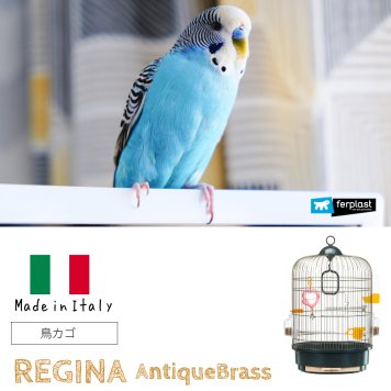 イタリアferplast社製 鳥かご レジーナ アンティークブラス 鳥籠 ゲージ フルセット カナリア セキセイインコ 小型鳥用　かご　おしゃれ　小鳥