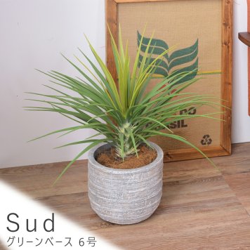 グリーンベース ６号 プランター 植木鉢 グリーンベース フラワーベース 観葉植物 円形 送料無料 おしゃれ マグネシウム グレー ナチュラル シンプル 北欧 レトロ 西海岸 ミッドセンチュリー