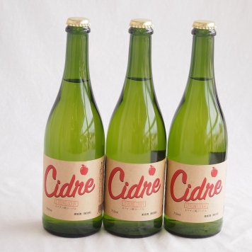 3本セット(長野県産りんご スペイン風シードル ストロングサワー 辛口) 750ml×3本