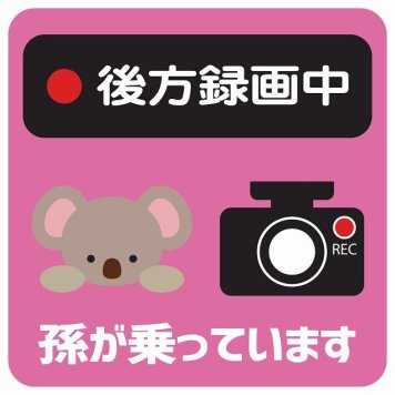 孫が乗っています 後方録画中 こあら ピンク サインステッカー シール 車 ステッカー 正方形 13x13cm 防水 屋内 屋外 セーフティサイン 安全対策 車用 安全運転 煽り運転対策 安全対策 かわいい イラスト カーサイン