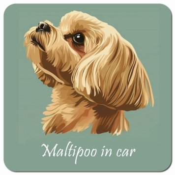 イラスト付 Dog in Car マルプー Aタイプ カーサイン 車 マグネットステッカー 犬 マグネット 強力 13x13cm 正方形 おしゃれ かわいい ドラレコステッカー 安全対策 危険運転 煽り運転 アニマル 動物 犬種別 屋外 防水 屋内