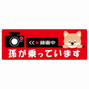 孫が乗っています 録画中 いぬ レッド サインステッカー シール 車 ステッカー 長方形 14x5cm 防水 屋内 屋外 セーフティサイン 安全対策 車用 安全運転 煽り運転対策 安全対策 かわいい イラスト カーサイン