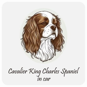 ドッグ カーステッカー イラスト付 Dog in Car キャバリアキングチャールズスパニエル Aタイプ セーフティサイン 犬種別 正方形 13x13cm シール リア あおり運転対策 Dog Sticker 屋外 屋内 防水 かわいい おしゃれ 安全対策 カーサイン