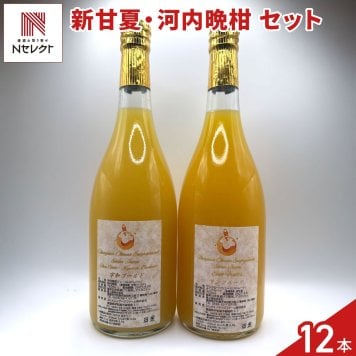愛媛 エヒメエンゲージファーム 新甘夏 河内晩柑 ジュース セット 2種 計12本入 フルーツジュース 果汁飲料 ストレート ジュース 国産