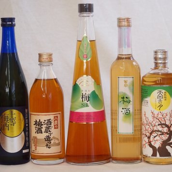 梅酒5本セット(手作り梅酒(宮崎県) 樽熟梅酒天空の月(大分) 八鹿の酒蔵で造った梅酒(大分) 百助梅酒(大分) 無添加上等梅酒(鹿児島)) 720ml×3本 500ml×2本