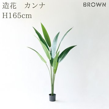 観葉植物 造花 カンナ BROWN 全高約165cm 大型 スリム フェイクグリーン 高級 本物そっくり リアル おしゃれ インテリア 人工観葉植物 アーティフィシャルグリーン 南国 オフィス 店舗 ホテル 開店祝い 室内 リビング 玄関 寝室 風水 フェイク