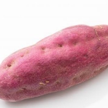 紅あずま 〈茨城.千葉〉 5kg さつまいも