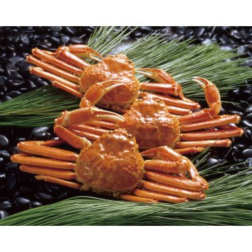 ボイルずわいがに姿 450g×3尾 ZHB453N【直送品】［送料無料］ 法人ギフト 職場 男性 女性 20代 30代 40代 50代 60代 70代 還暦祝い 米寿 古希 喜寿 金婚式 結婚祝い 退職祝い 開店祝い 新築祝い 快気祝い 記念日 内祝 御歳暮 お歳暮 クリスマス 御年賀 お年賀 法事 お供 香典返し